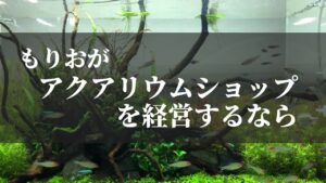 もし僕が新潟でアクアリウムショップを経営するなら